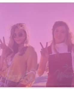 Various Artists Ingrid Goes West – Original Motion Picture Soundtrack LP