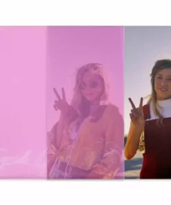 Various Artists Ingrid Goes West – Original Motion Picture Soundtrack LP