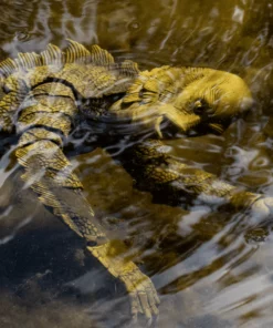 Mondo Toys Creature From The Black Lagoon 1/6 Scale Figure 24 Mondo Toys Creature From The Black Lagoon 1/6 Scale Figure