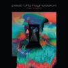 Adam Wingard Past Life Regression LP Music