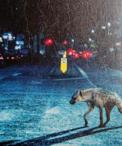 The The Music Hyena – Original Motion Picture Soundtrack 2XLP 17 The The Music Hyena – Original Motion Picture Soundtrack 2XLP