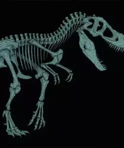 John Williams Jurassic Park Original Motion Picture Soundtrack (20th Anniversary – Version B)