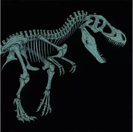 John Williams Jurassic Park Original Motion Picture Soundtrack (20th Anniversary – Version B) 1 John Williams Jurassic Park Original Motion Picture Soundtrack (20th Anniversary – Version B)