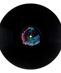 Adam Wingard Past Life Regression LP Music