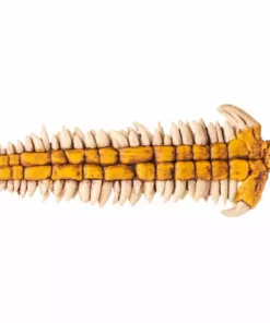 Mondo Toys Mer-Man 1/6 Scale Figure