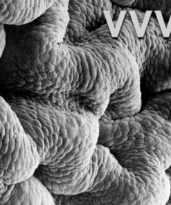 Holodeck Records Shadow World By VVV