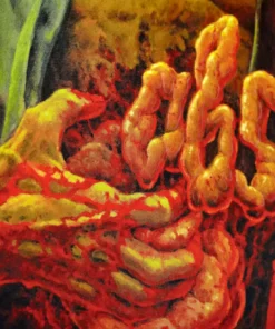 Carlo Maria Cordio Music Absurd (Rosso Sangue) Original Motion Picture Soundtrack 2XLP