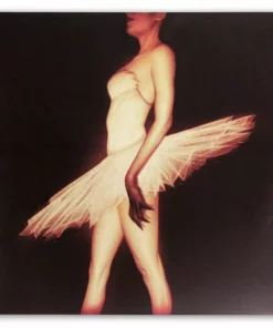 Clint Mansell Black Swan – Original Motion Picture Soundtrack 2XLP Music